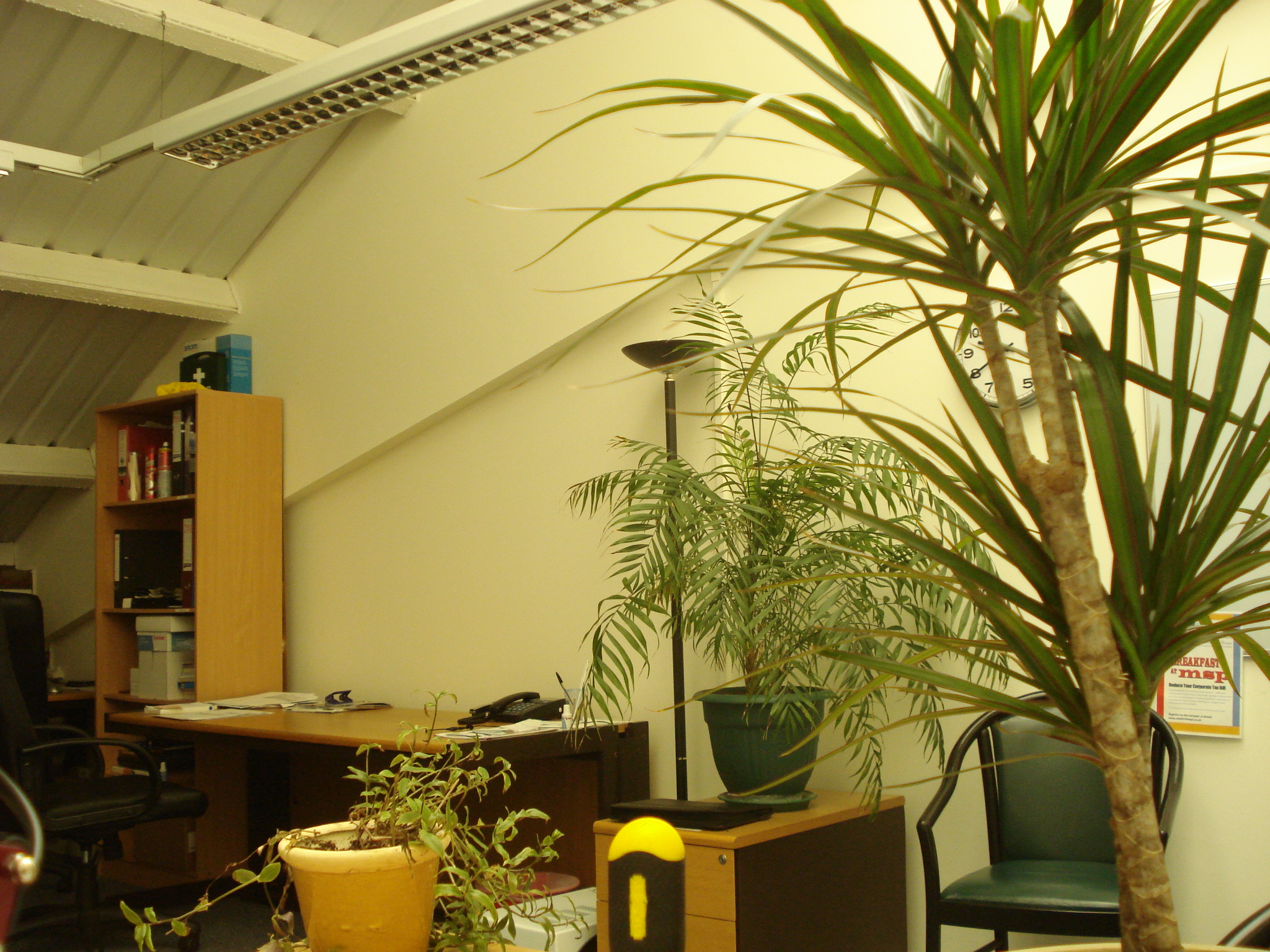 packnet office packnet office