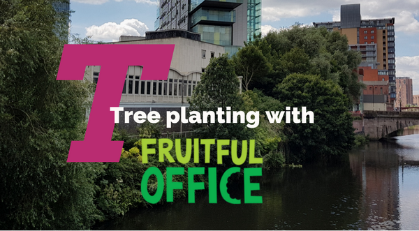 Tree Planting with Fruitful Office