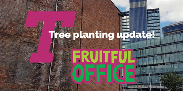 Tree planting with Fruitful Office